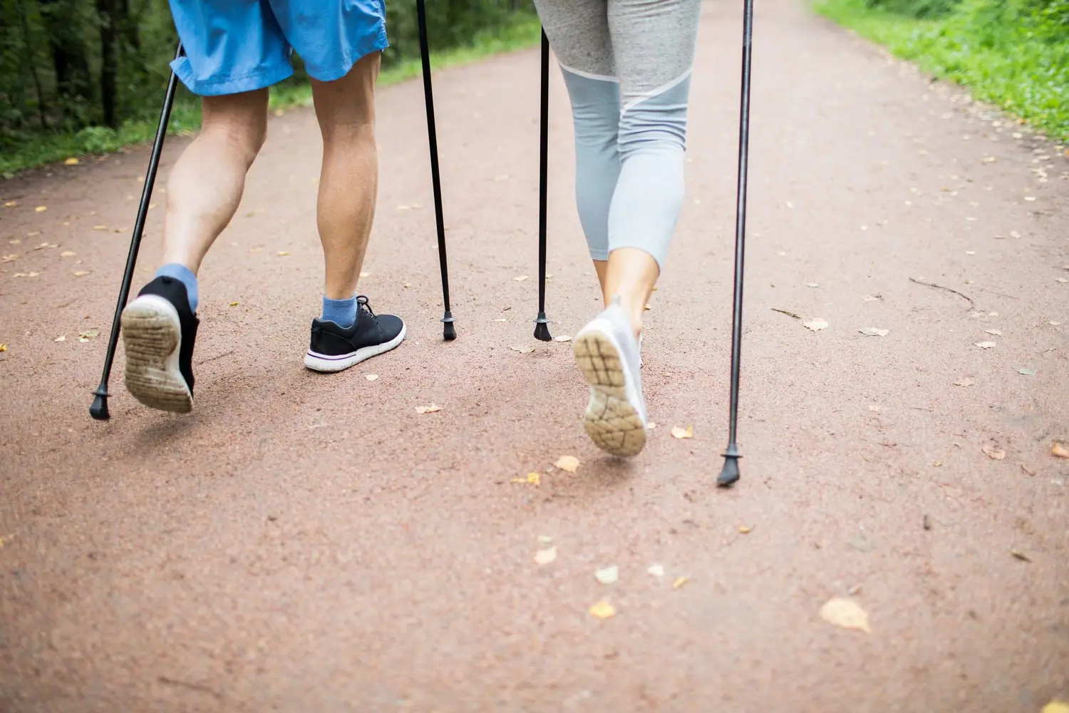Lokalne szlaki nordic walking - jak wytyczyć trasę w swojej okolicy